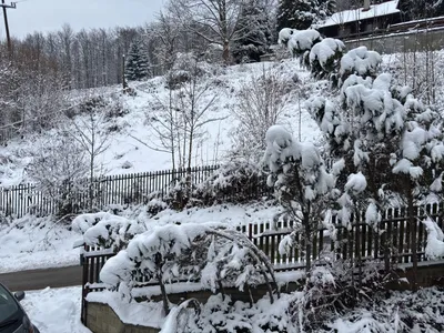 Galeria – zdjęcie 33